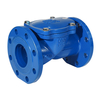 Rubber Disc Swing Check Valve
