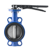 Stainless Steel Disc Wafer Butterfly Valve
