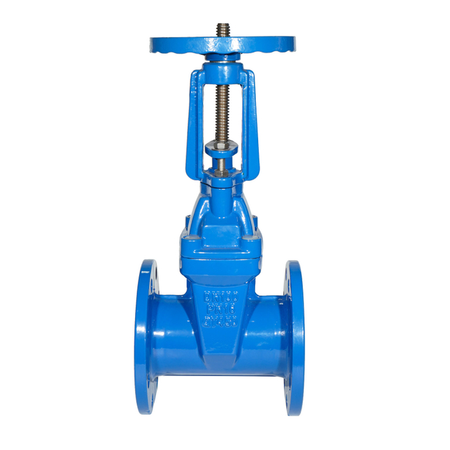 Rising Stem Resilient Gate Valve