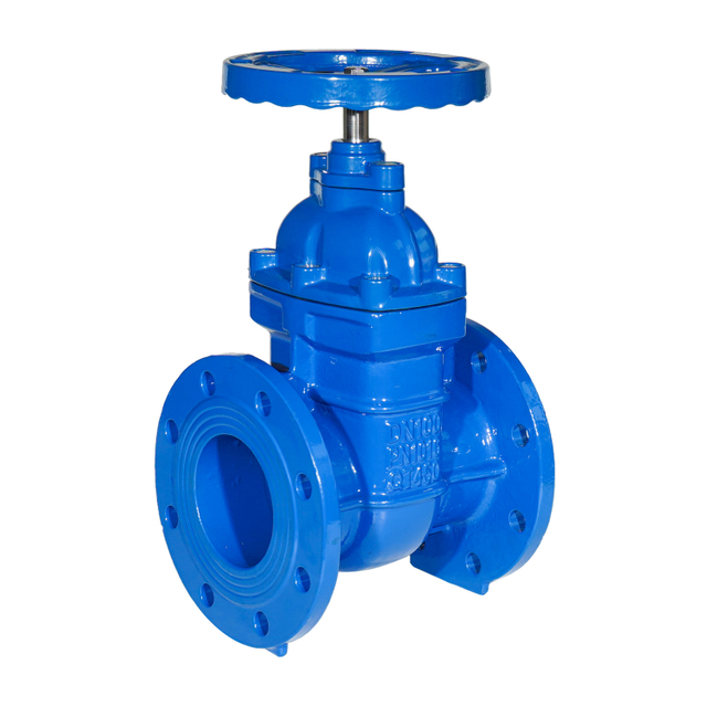 Brass Seated Cast Iron Gate Valve