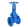 Rising Stem Resilient Gate Valve