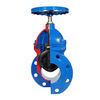 BS5163 Resilient Gate Valve