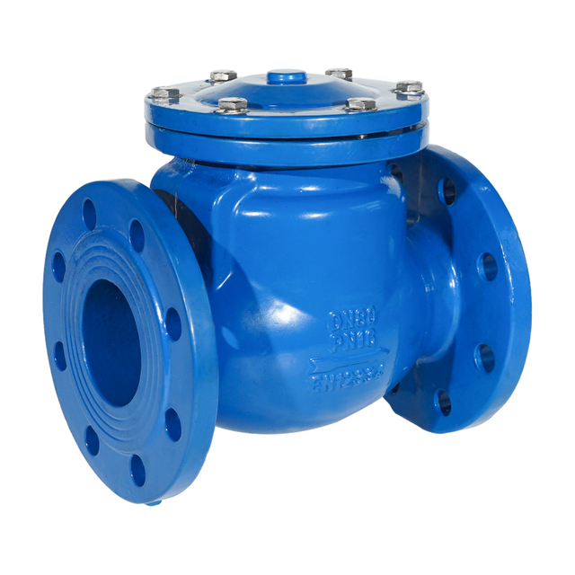 Resilient Seated Swing Check Valve