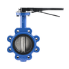 Ductile Iron Lug Butterfly Valve