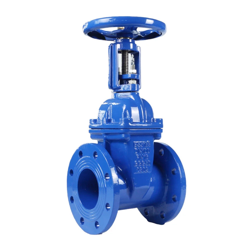 Rising Stem Resilient Gate Valve