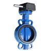 Gear Operated Wafer Butterfly Valve