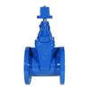 BS5163 Resilient Gate Valve