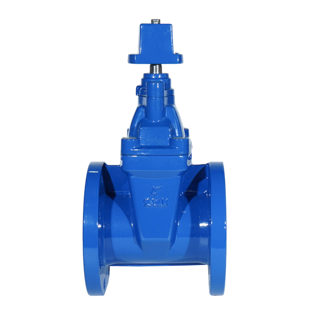 BS5163 Resilient Gate Valve