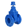 BS5163 Resilient Gate Valve