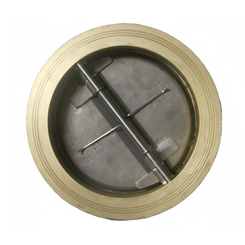 Retainerless Dual Plate Check Valve