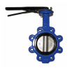 Ductile Iron Lug Butterfly Valve