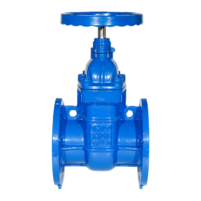 Brass Seated Cast Iron Gate Valve
