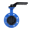 U-Section Flanged Butterfly Valve