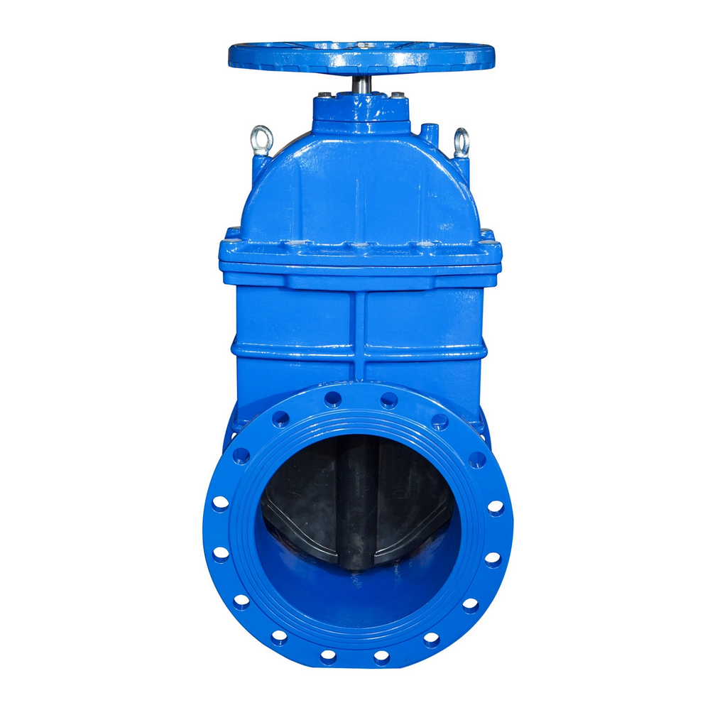 Non-Rising Stem Gate Valve (2)