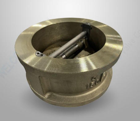 Cast Iron Wafer Check Valve Portugal