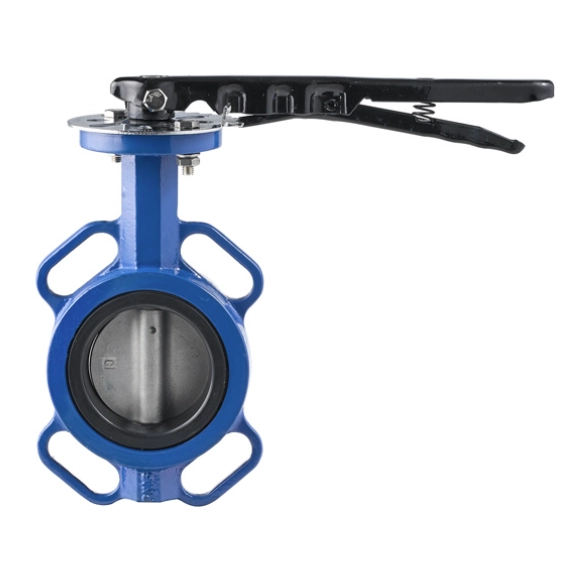 Stainless Steel Disc Wafer Butterfly Valve (2)