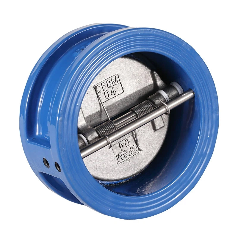 Dual Plate Check Valve (2)