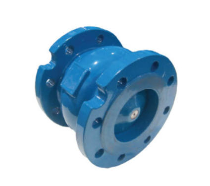 Municipal Pipeline Check Valves