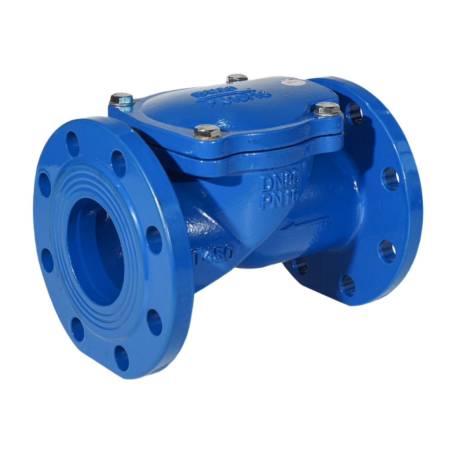 Swing Check Valve