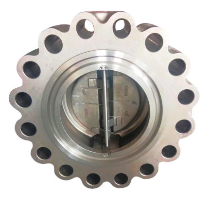 Cast Iron Wafer Check Valve Russia